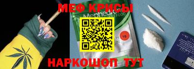 бошки Гатчина