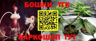 бошки Гатчина