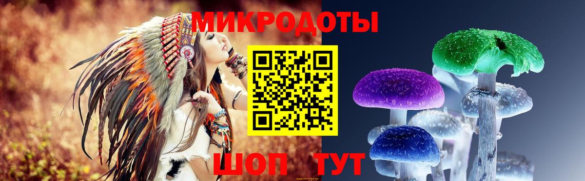 Псилоцибиновые грибы MAGIC MUSHROOMS  Псилоцибиновые грибы Magic Shrooms  Кизилюрт  Вход с VPN 